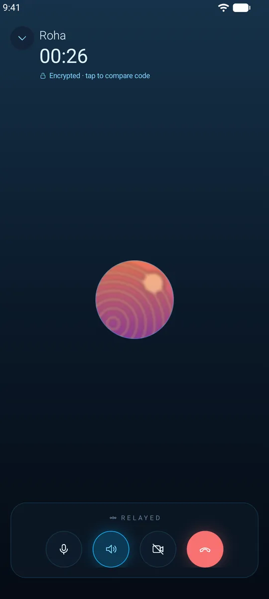 An encrypted Frozen Chat voice call