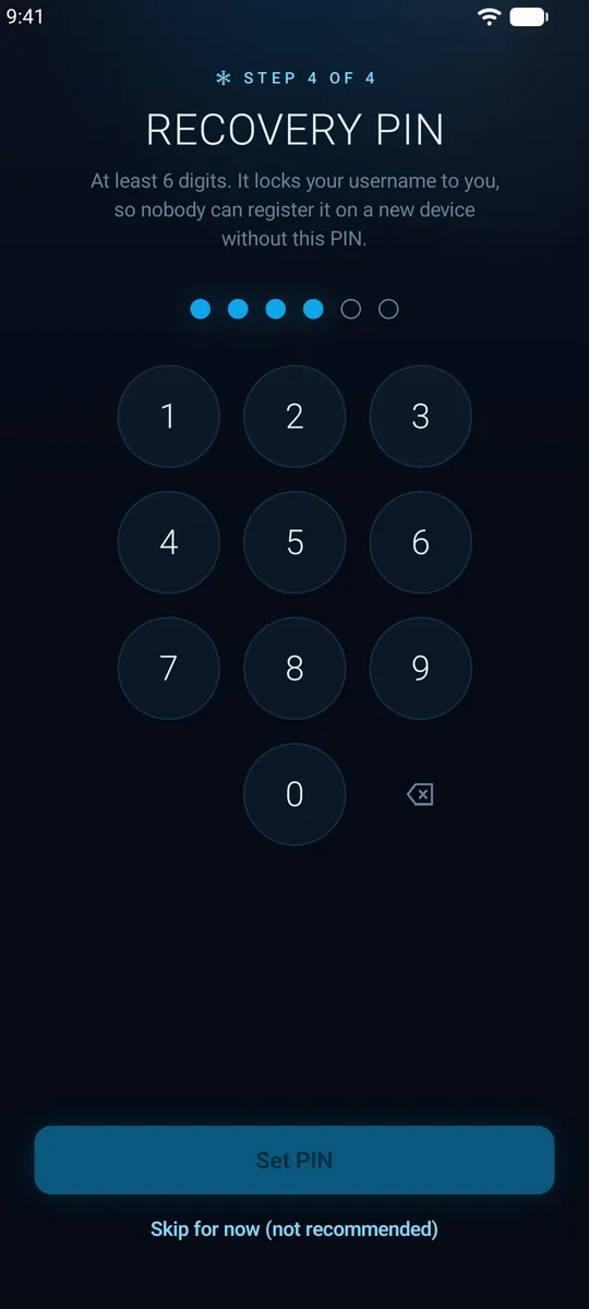 Setting a recovery PIN in Frozen Chat